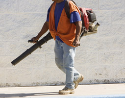 Leaf Blower Regulations