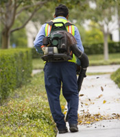 Leaf Blower Regulations