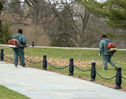 Leaf Blower Regulations